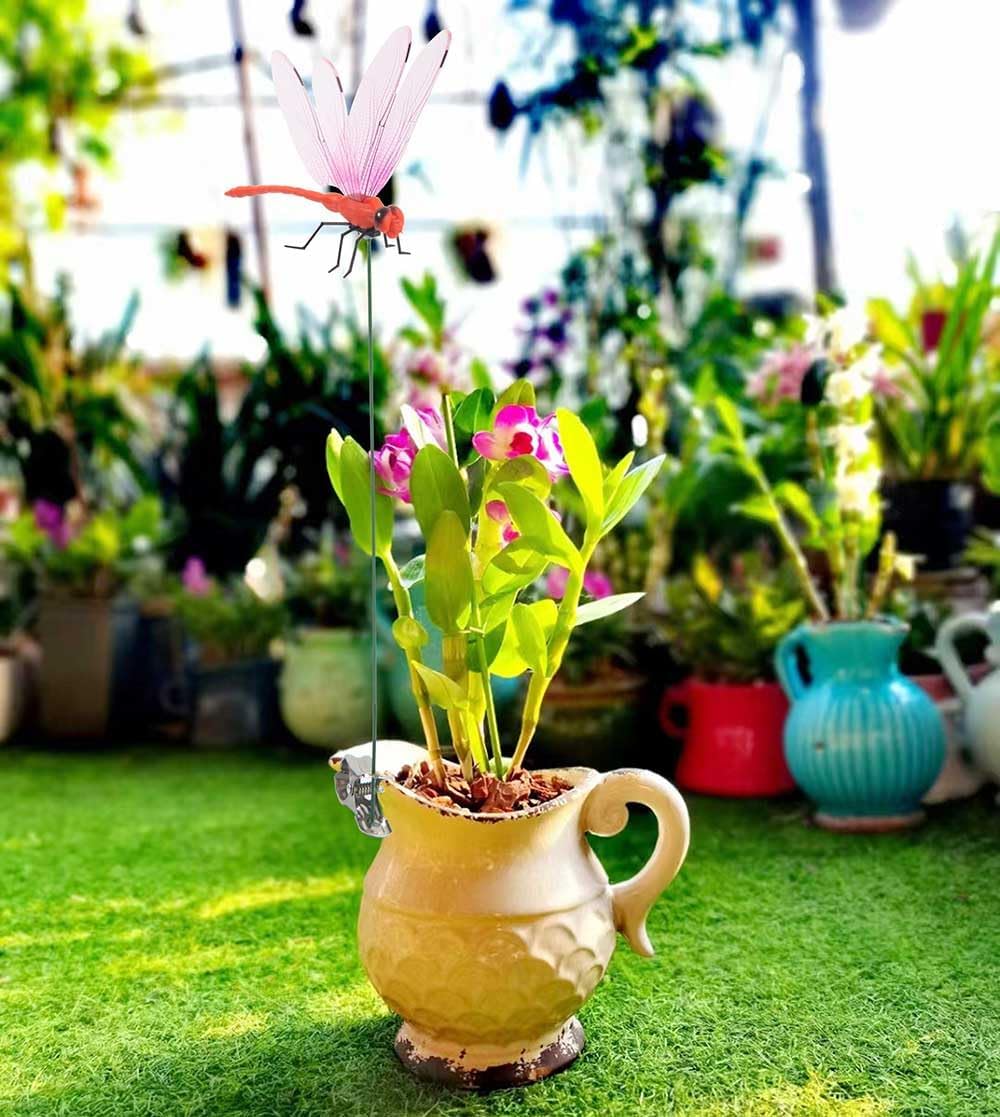 2026 Summer Hot Sale 49% OFF🔥Dragonfly Clip Bug Repe Llent