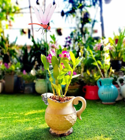 2026 Summer Hot Sale 49% OFF🔥Dragonfly Clip Bug Repe Llent